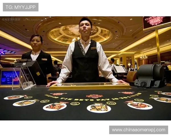 澳门娱乐城赌博平台专业技术团队，确保游戏公平公正运行